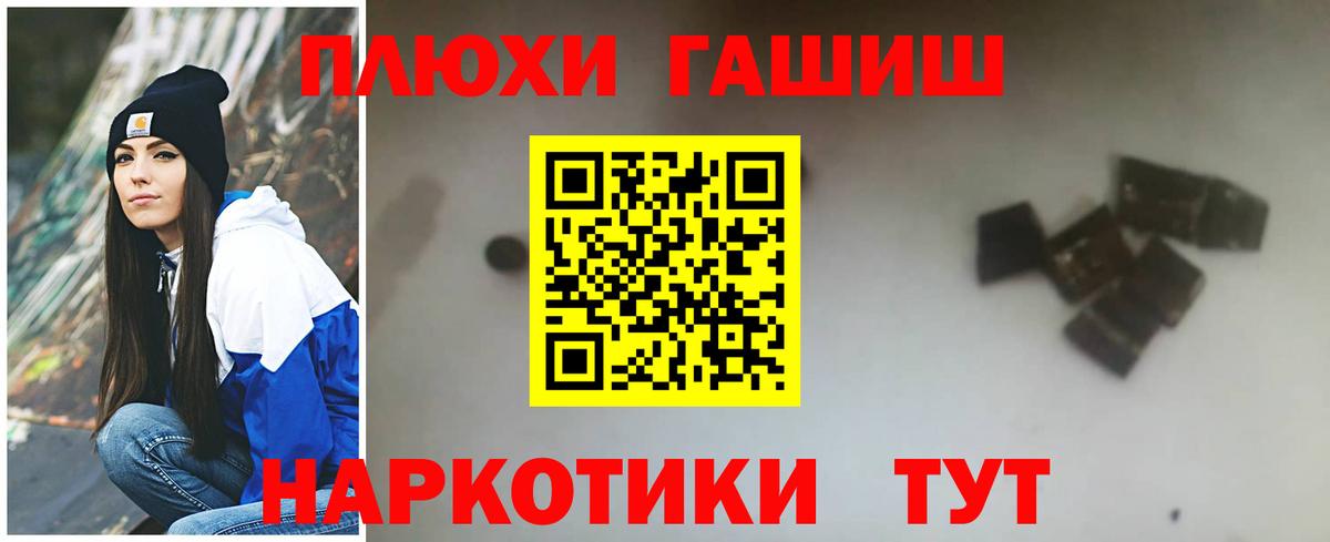 ГАШ Premium Кудрово