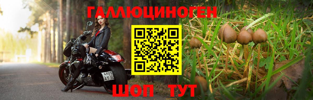 Кудрово  Псилоцибиновые грибы MAGIC MUSHROOMS  Псилоцибиновые грибы ЛСД  Вход с VPN 