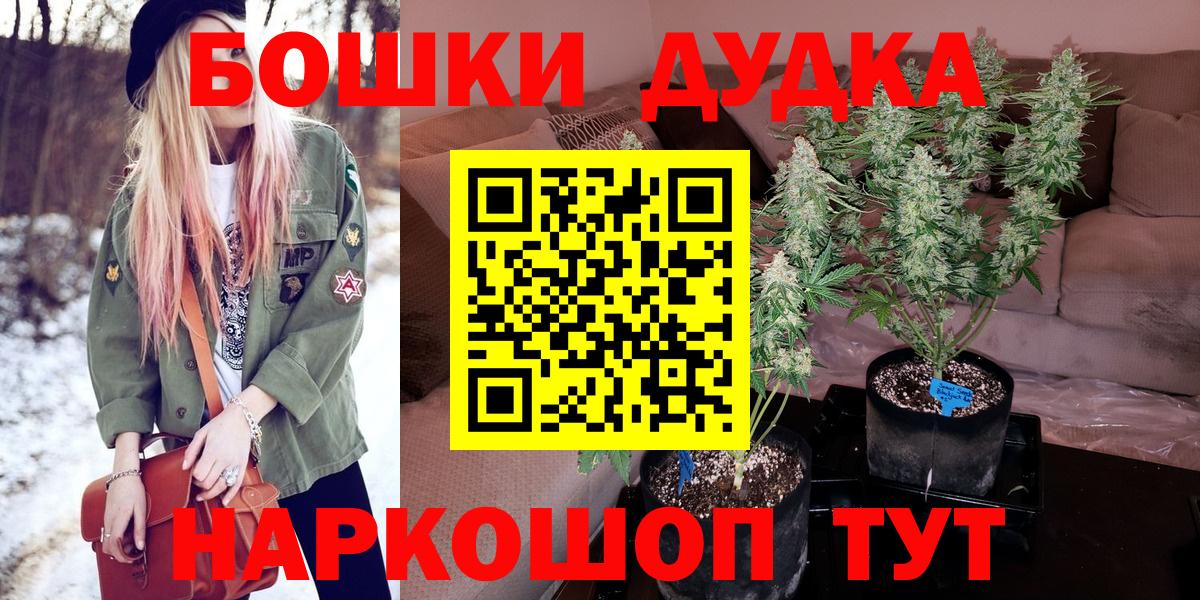 Марихуана сатива Кудрово